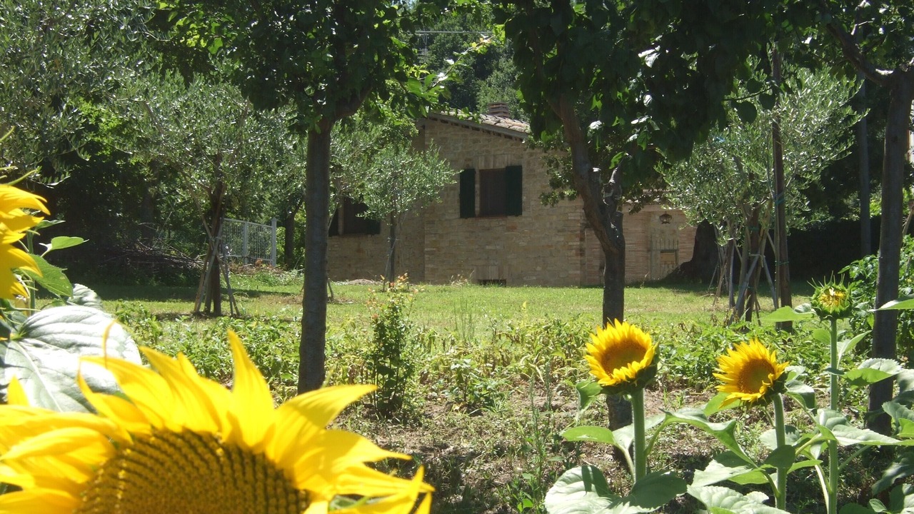 Photo of Others in Montefalcone Appennino