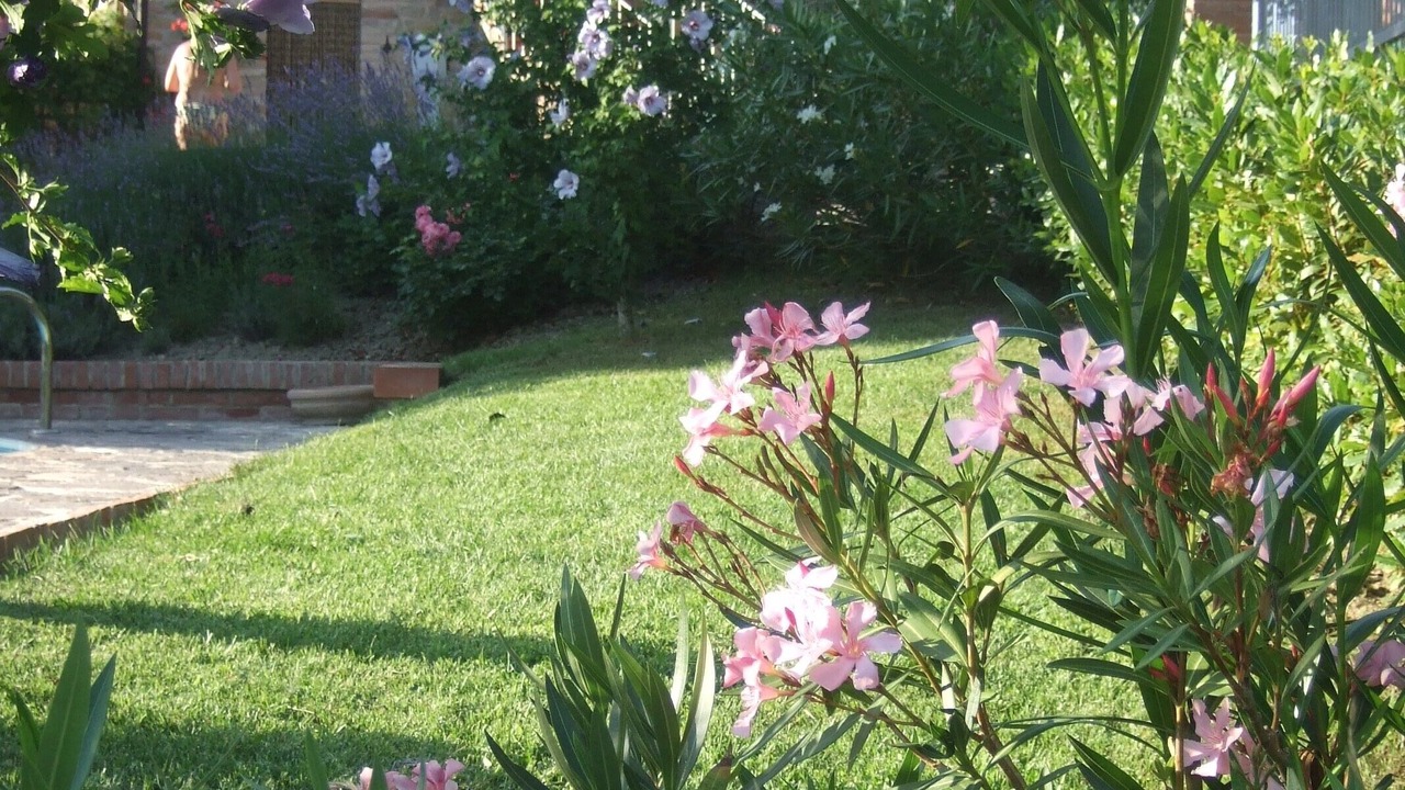 Photo of Outdoor in Montefalcone Appennino