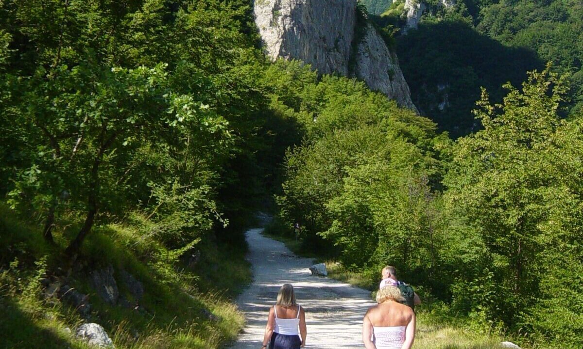 Photo of Others in Montefalcone Appennino