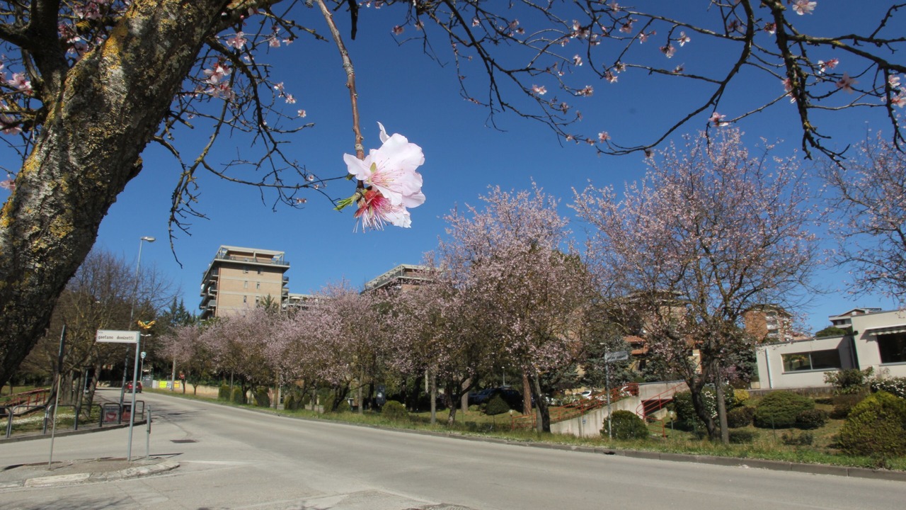Photo of Outdoor in San Sisto