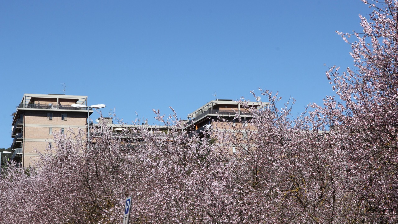 Photo of Outdoor in San Sisto