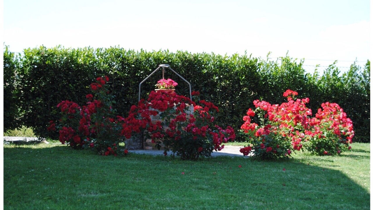 Photo of Outdoor in SantʼAngelo in Pontano