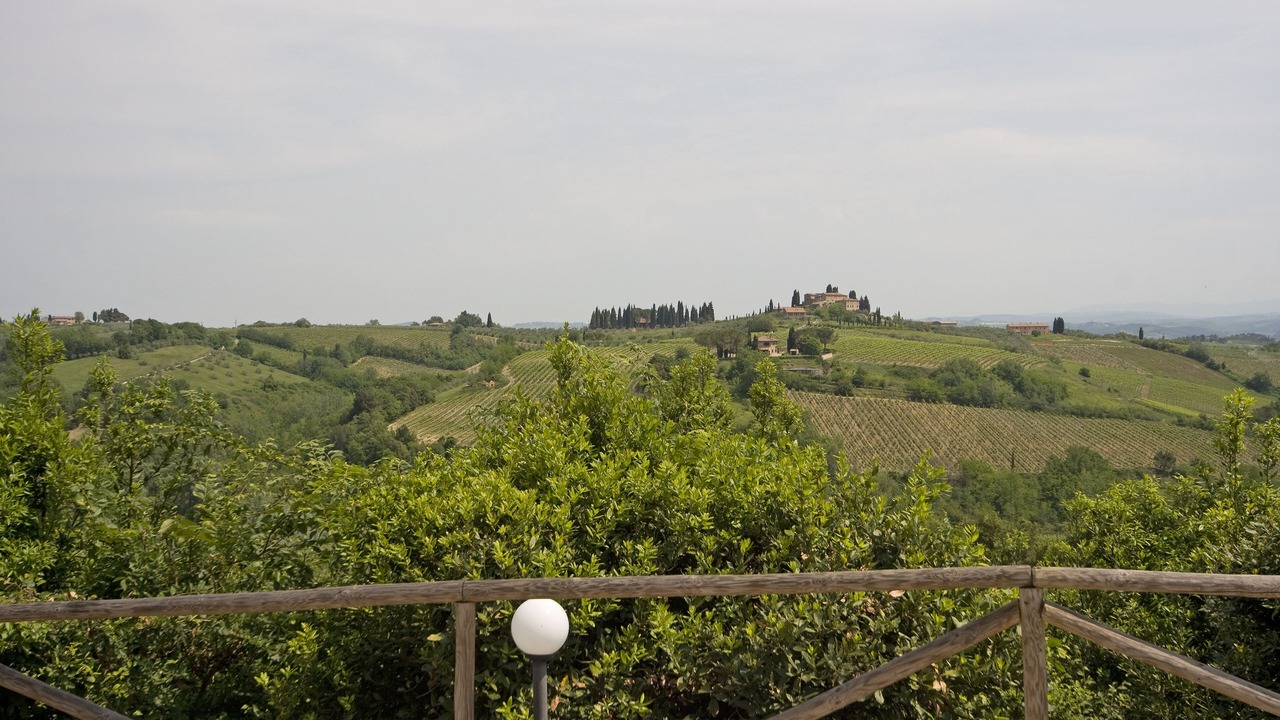 Photo of Others in San Gimignano
