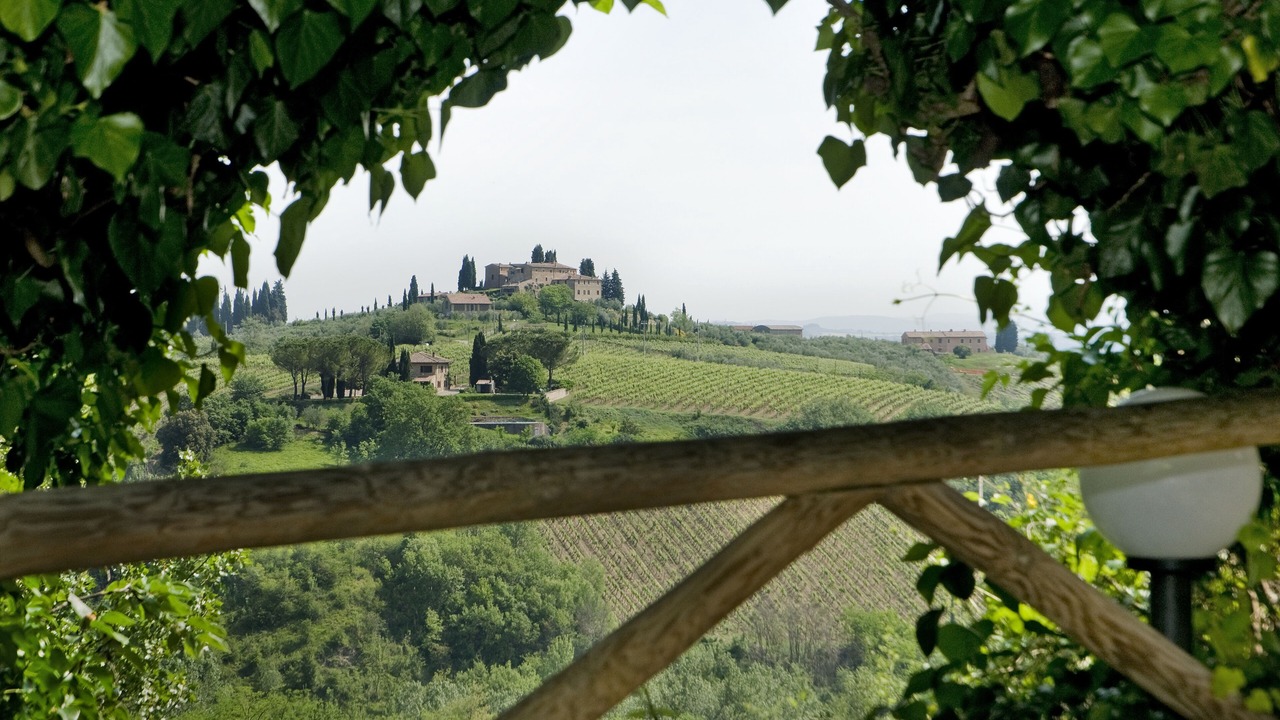 Photo of Others in San Gimignano