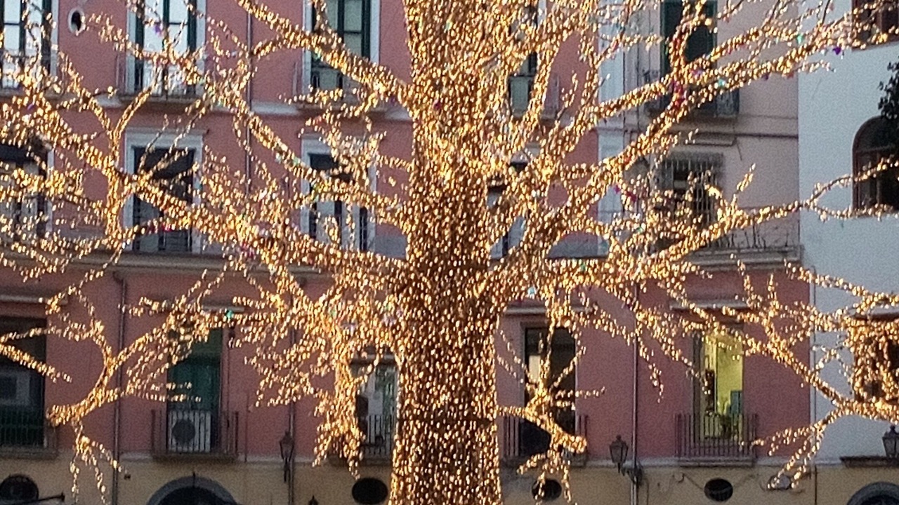 Photo of Outdoor in Salerno