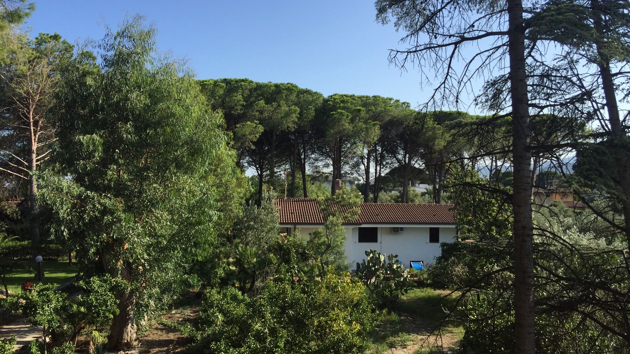 Photo of Others in San Sostene Marina
