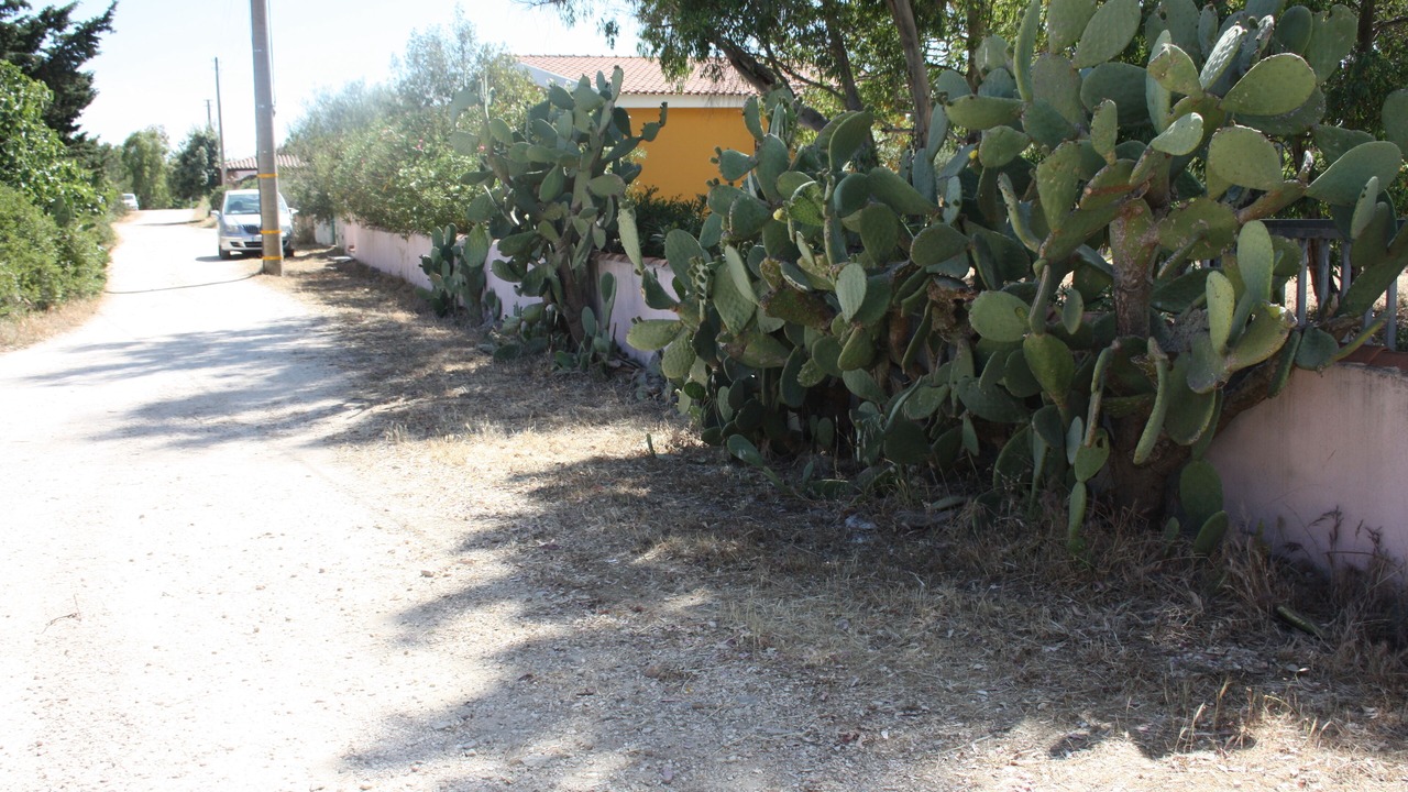 Photo of Outdoor in Orosei