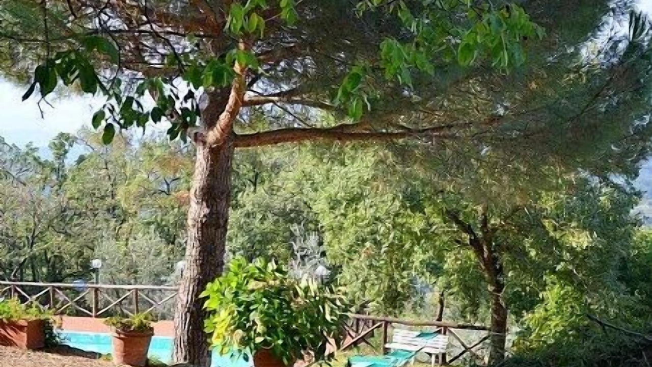 Photo of Outdoor in Pian di Sco