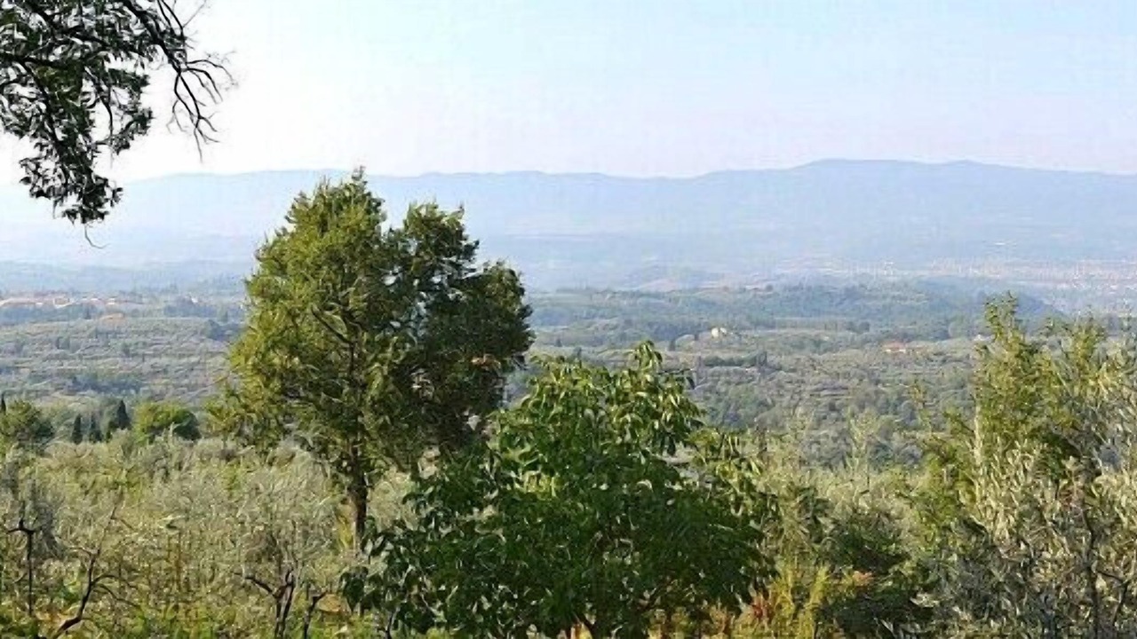 Photo of Outdoor in Pian di Sco