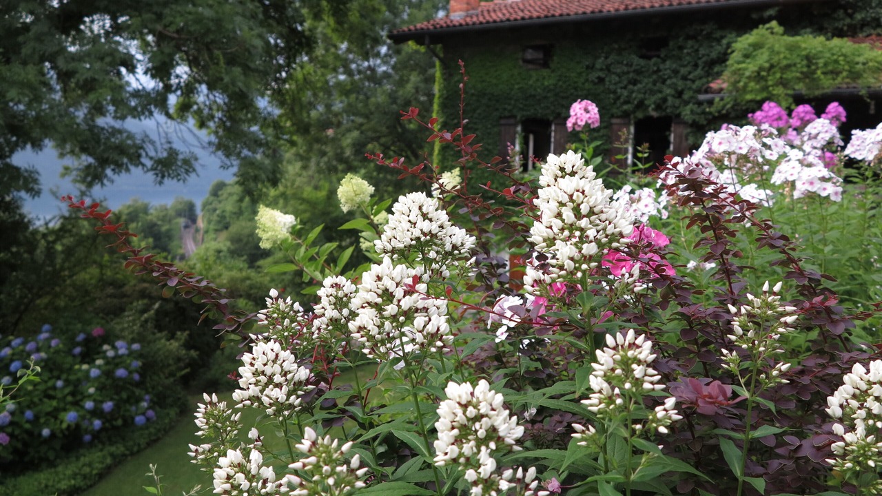 Photo of Outdoor in Carcegna