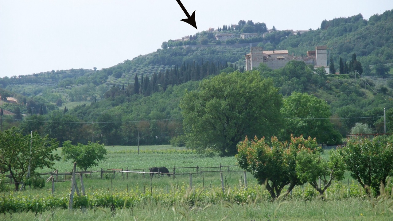 Photo of Outdoor in Corciano