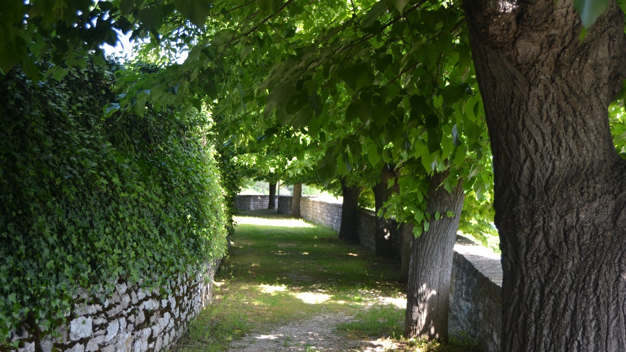 Photo of Others in Corciano