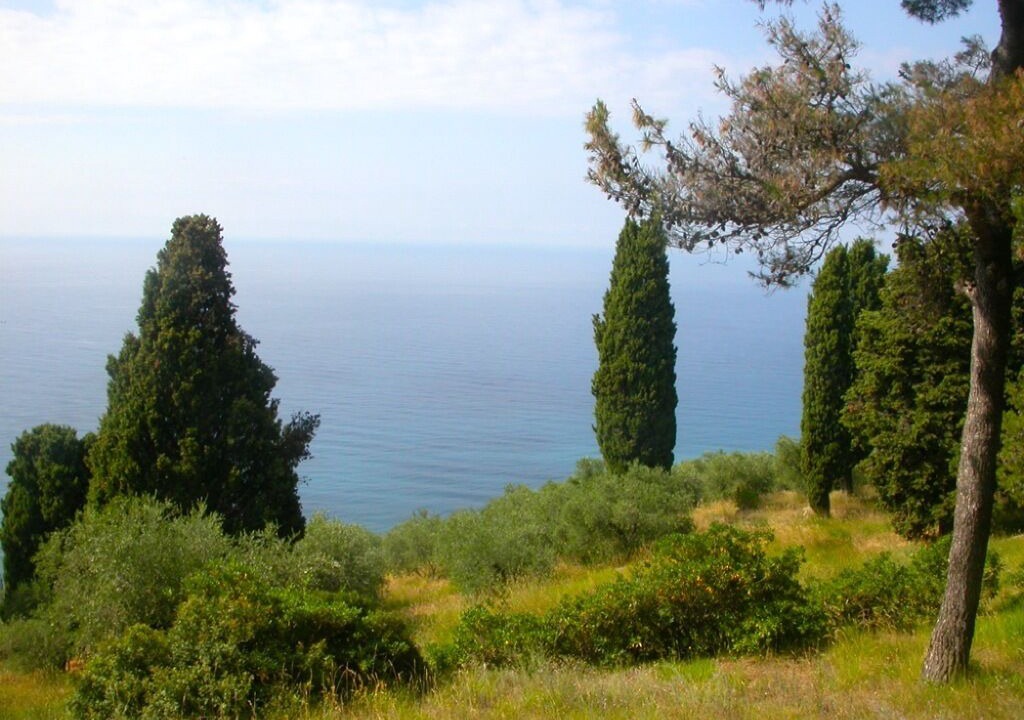 Photo of Others in Imperia