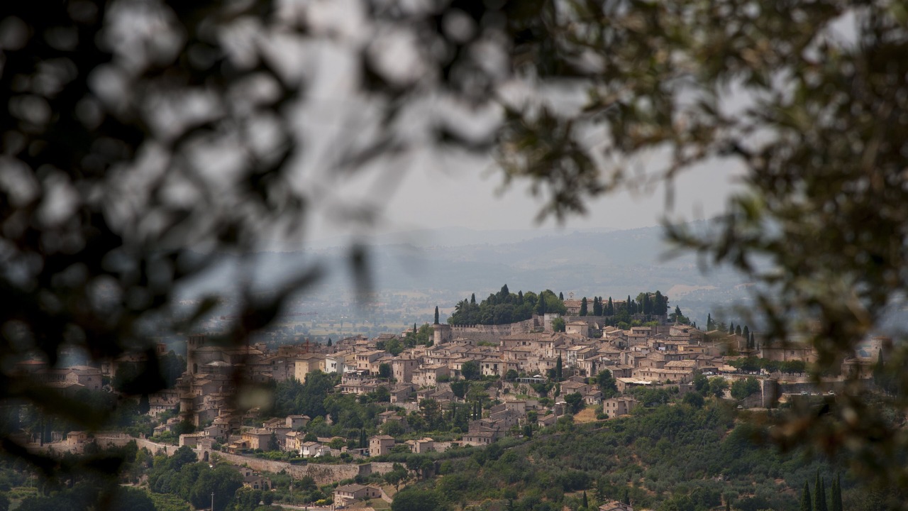 Photo of Others in Spello