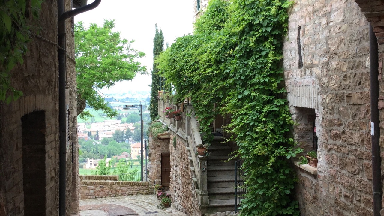 Photo of Others in Spello