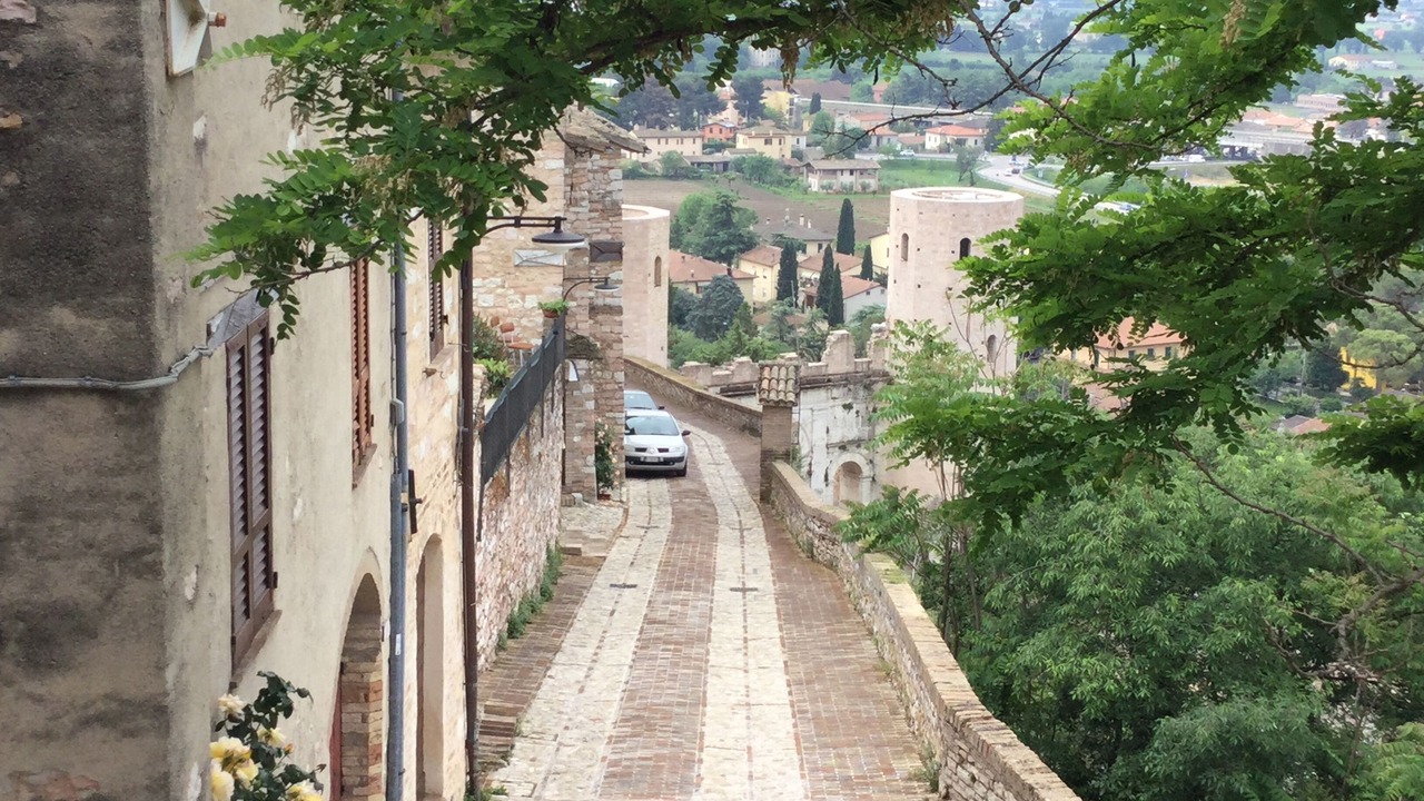 Photo of Others in Spello