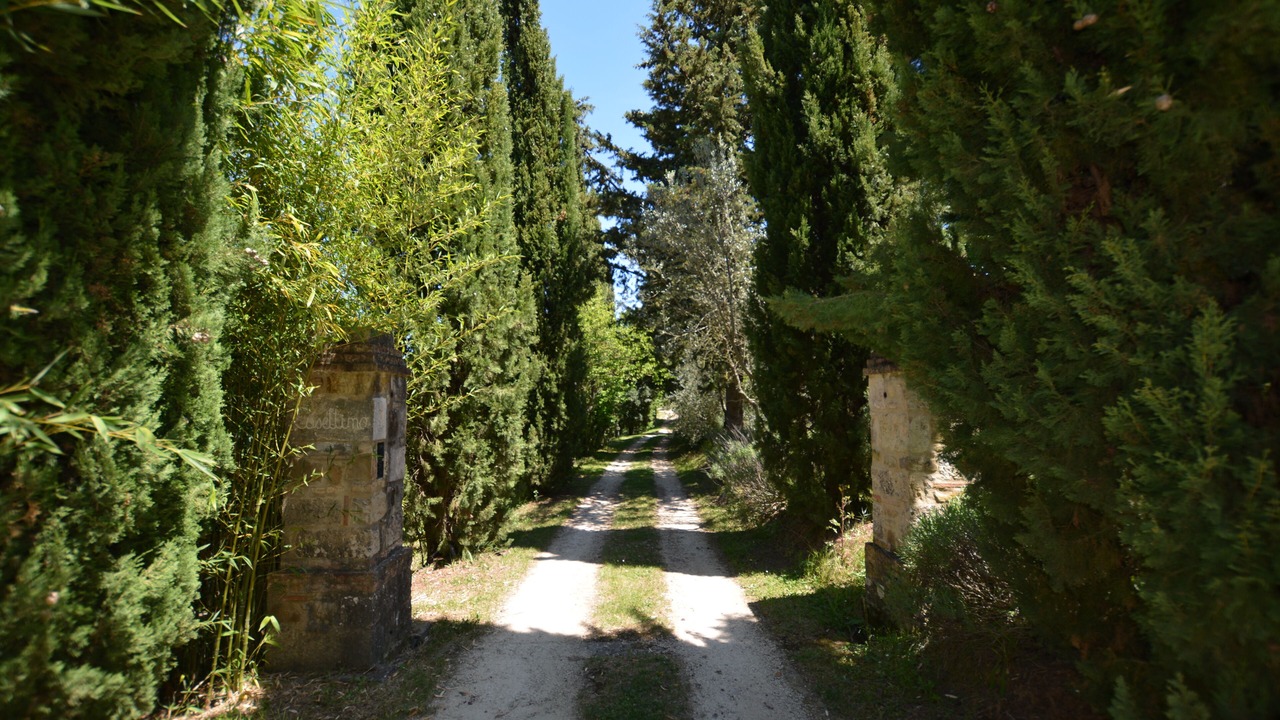 Photo of Outdoor in Radicondoli