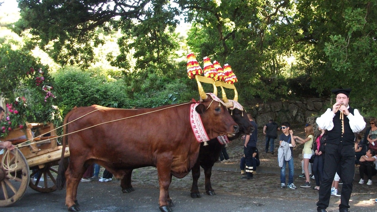 Photo of Others in Porto Alabe