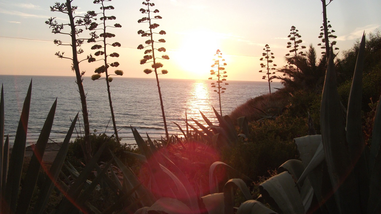 Photo of Outdoor in Porto Alabe