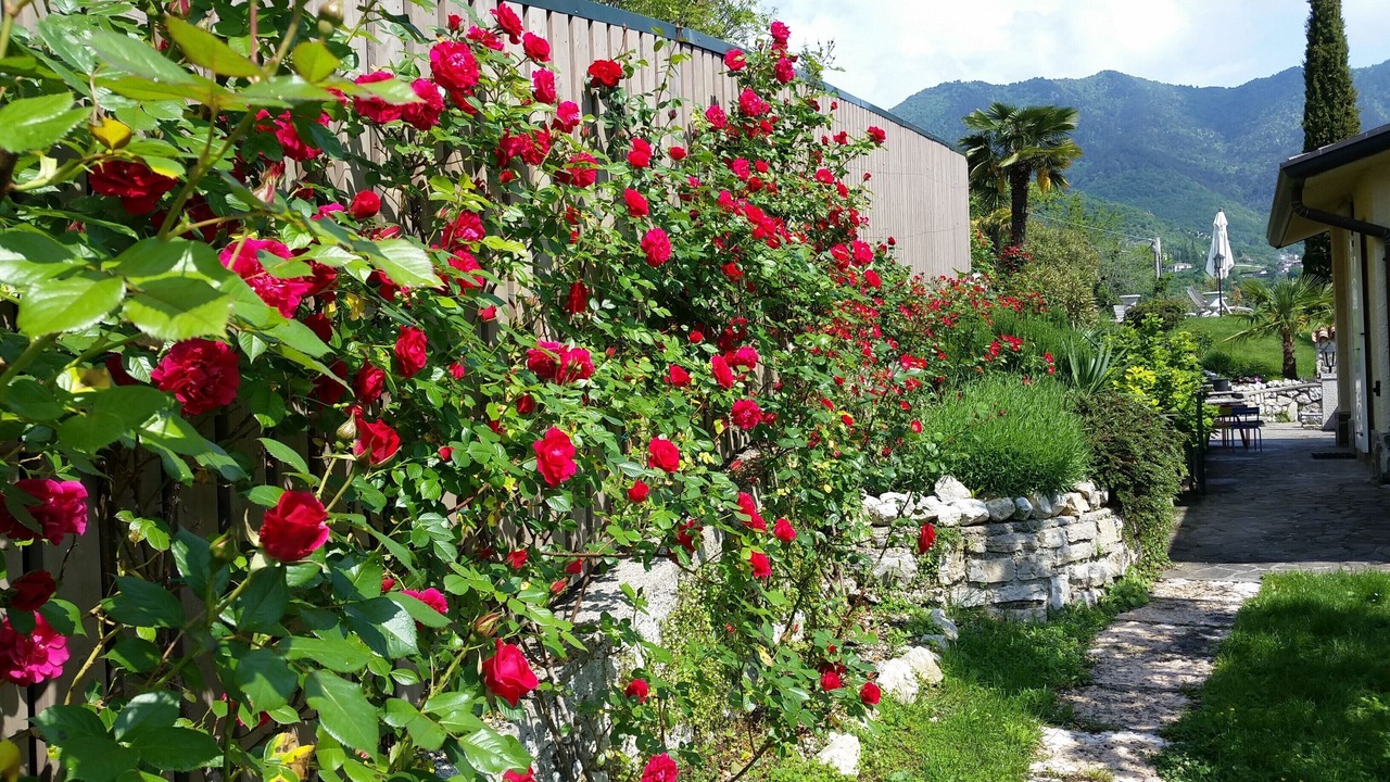 Photo of Outdoor in Tignale