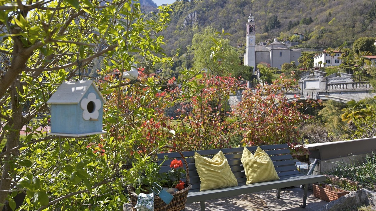 Photo of Outdoor in Cannero Riviera