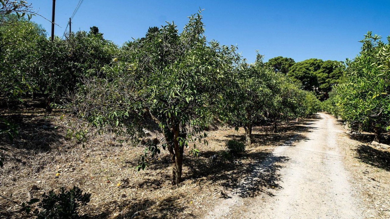 Photo of Others in Bagheria