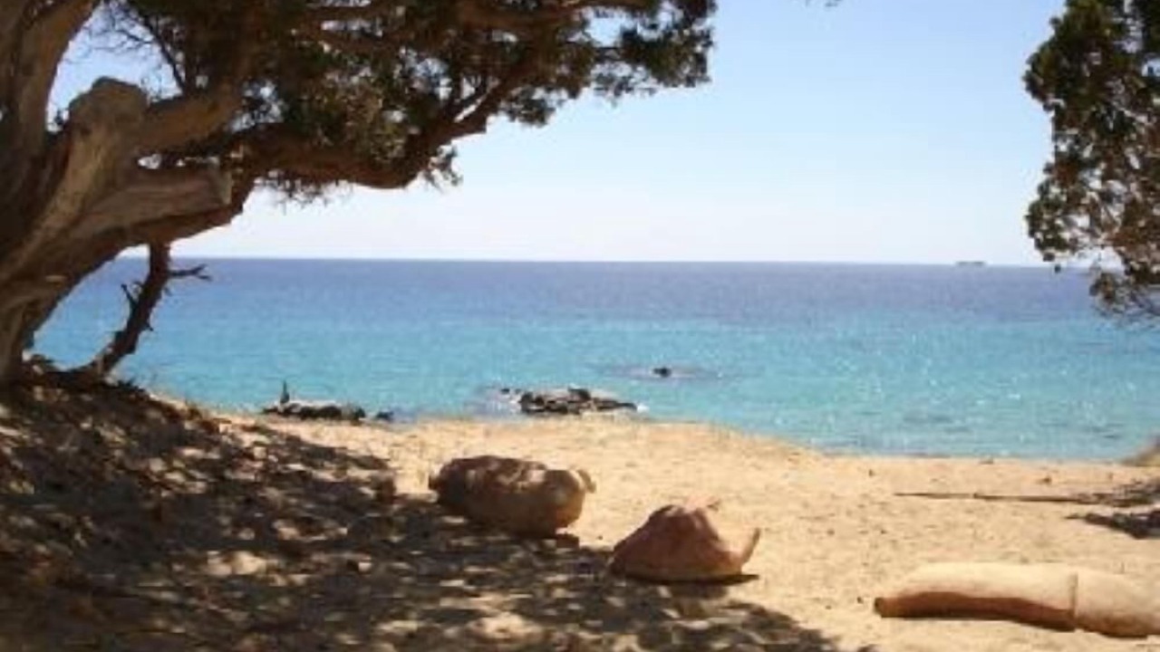 Photo of Others in Porto Sa Ruxi