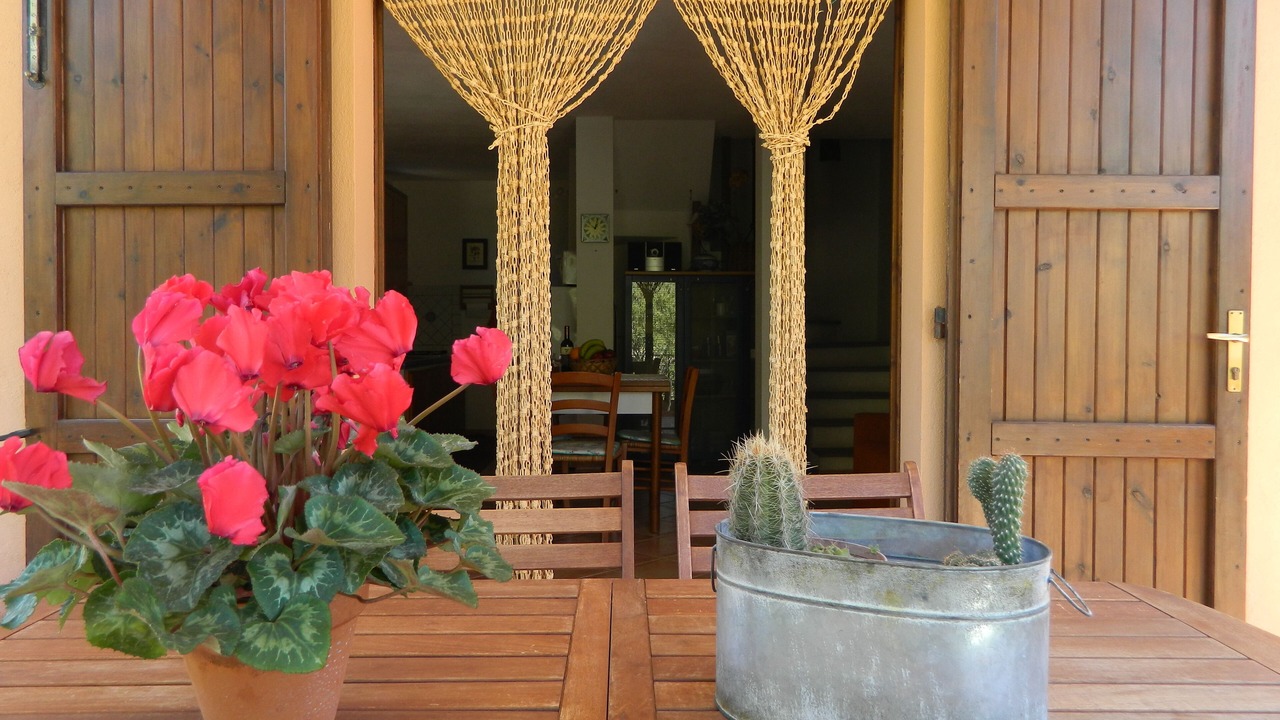 Photo of Outdoor in Porto Sa Ruxi