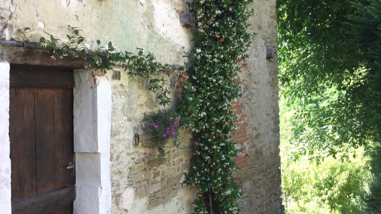 Photo of Outdoor in Orbregno