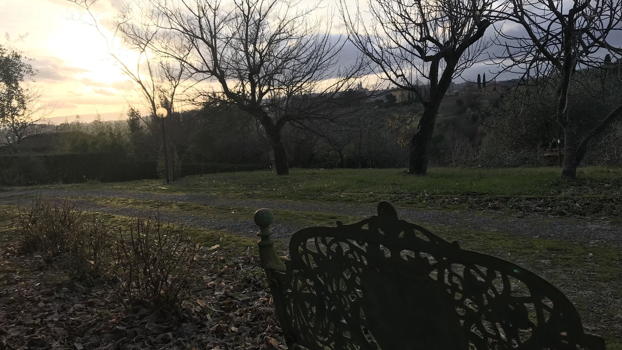 Photo of Outdoor in Siena