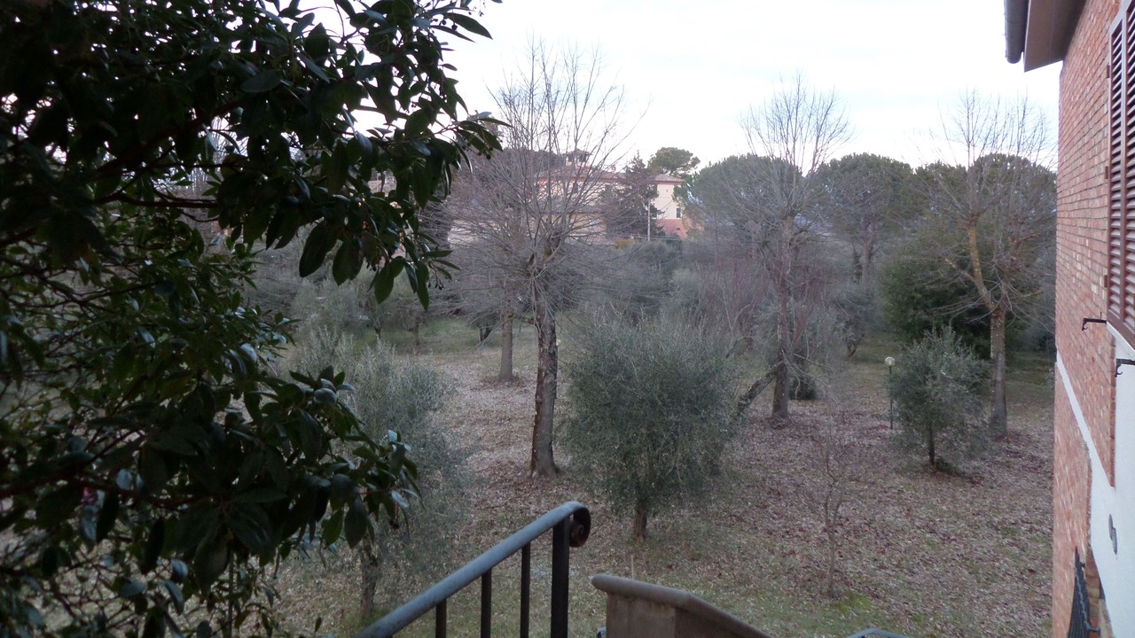 Photo of Outdoor in Siena