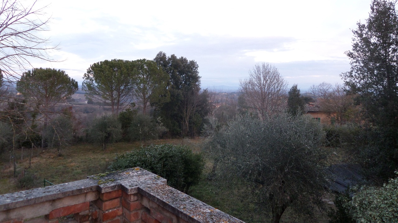 Photo of Outdoor in Siena