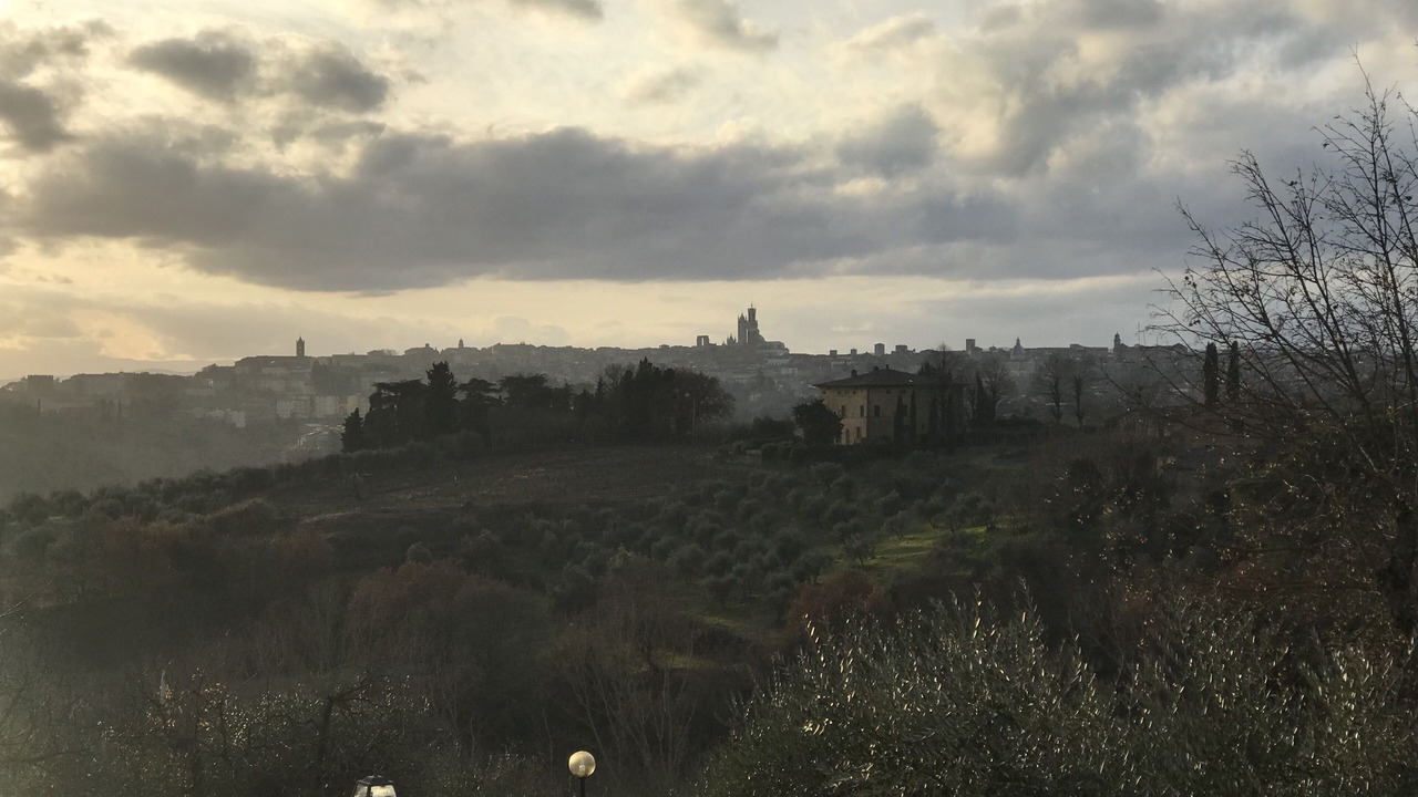 Photo of Others in Siena