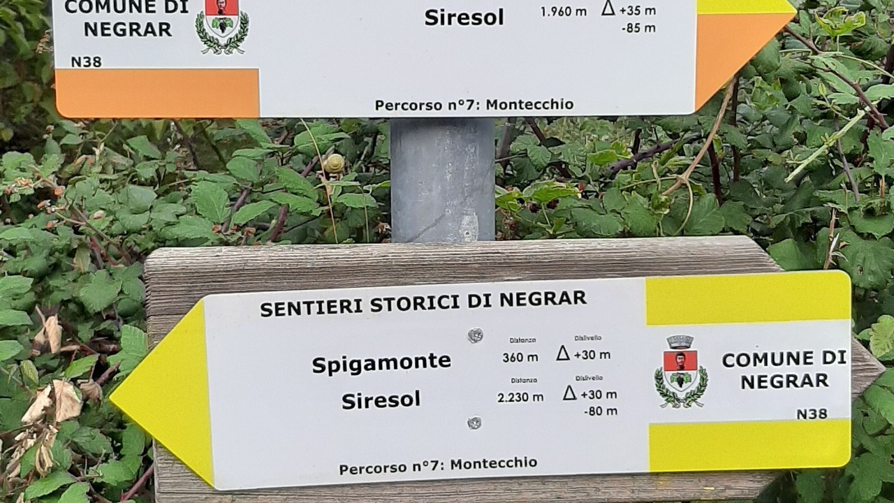 Photo of Outdoor in Negrar