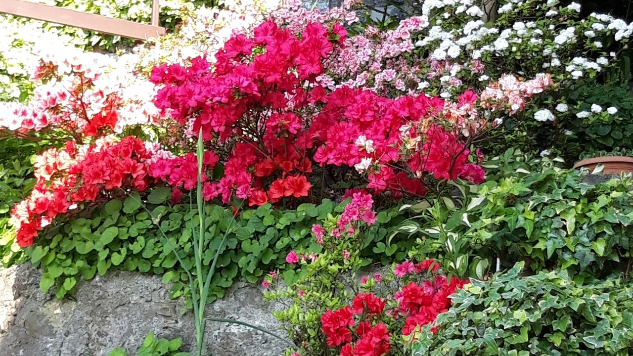 Photo of Outdoor in Fiumelatte