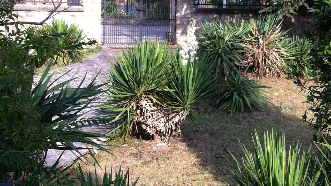 Photo of Outdoor in Paganica