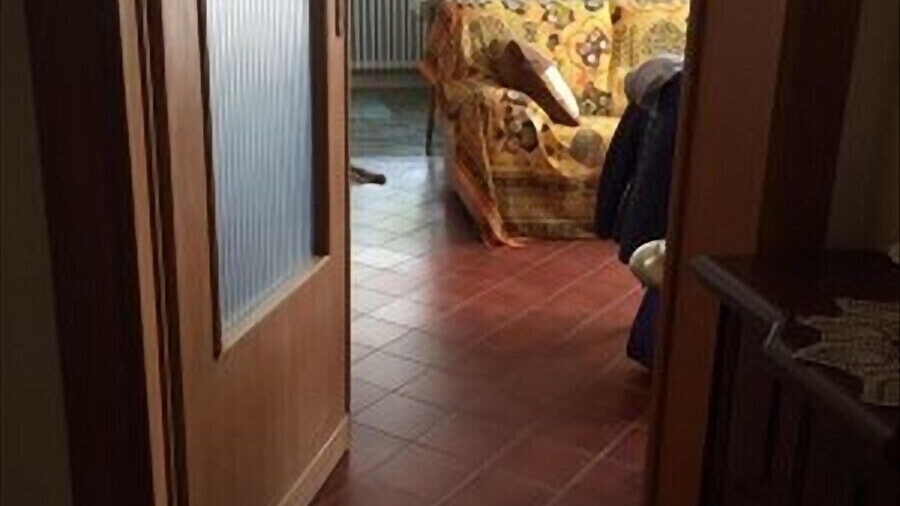 Photo of Livingroom in Paganica