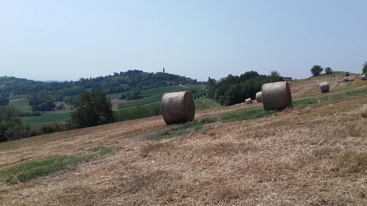 Photo of Outdoor in Tonco