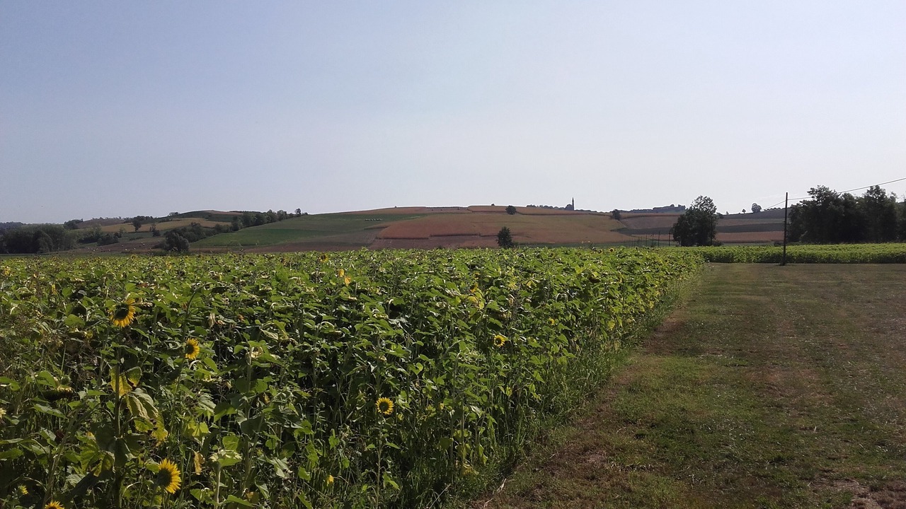 Photo of Outdoor in Tonco