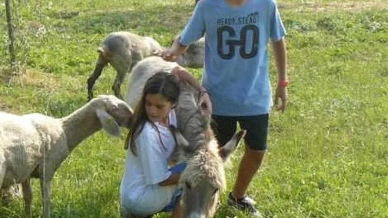 Photo of Outdoor in Racchiuso