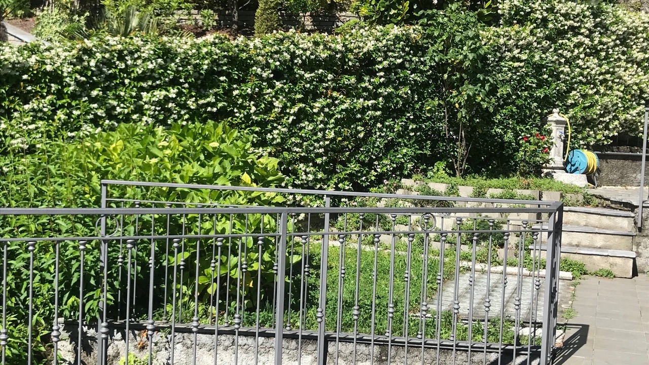 Photo of Outdoor in Argegno