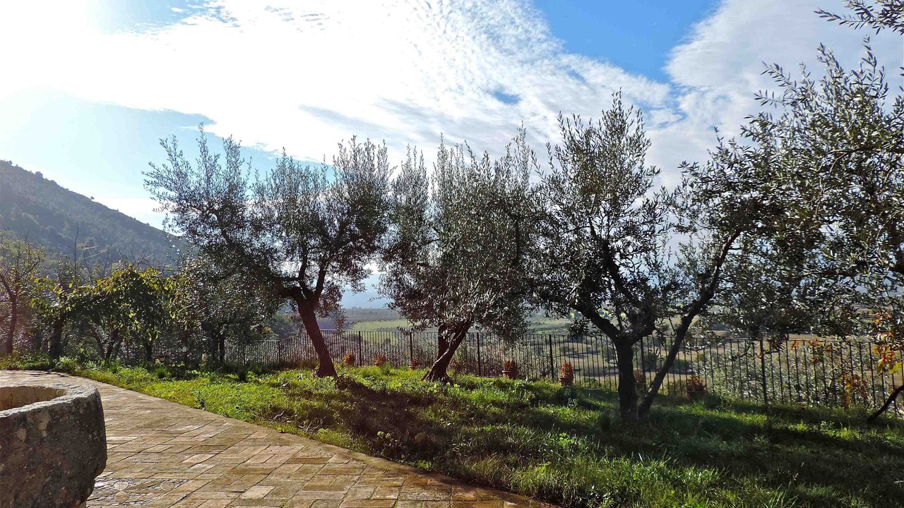 Photo of Others in Poreta