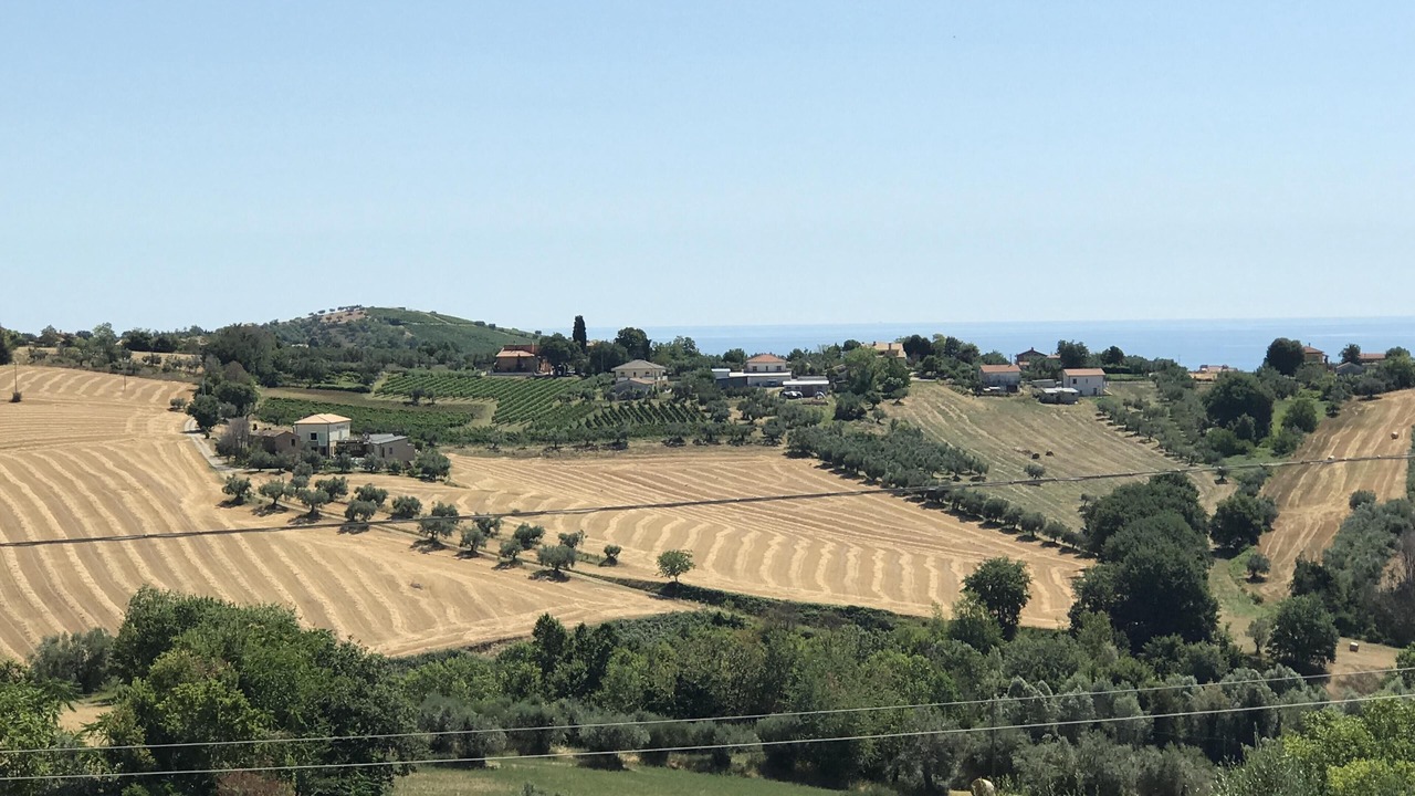 Photo of Others in Mosciano Sant'Angelo