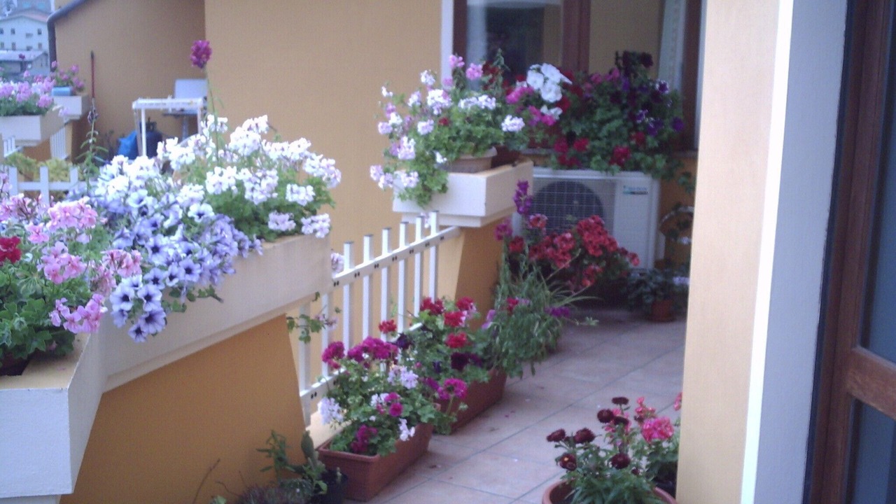 Photo of Outdoor in Cuglieri
