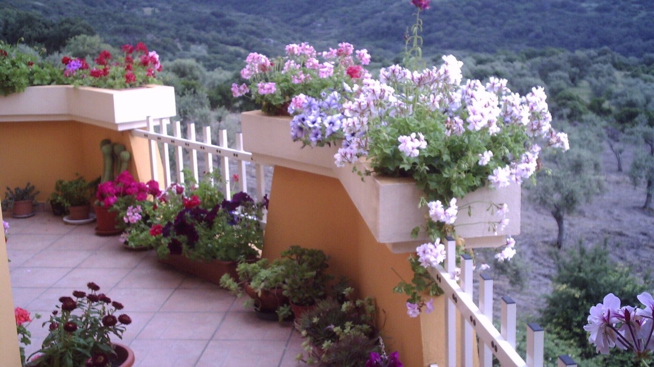 Photo of Outdoor in Cuglieri