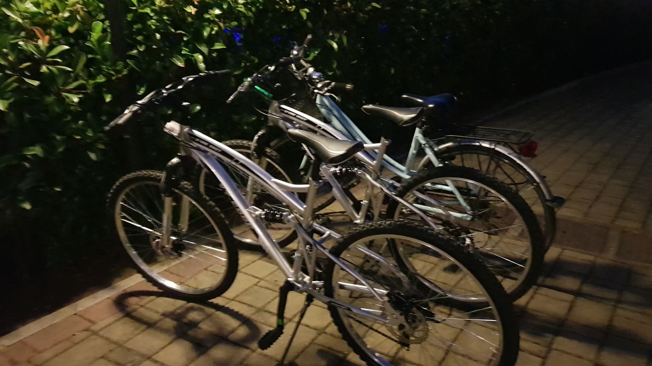Photo of Outdoor in Lido