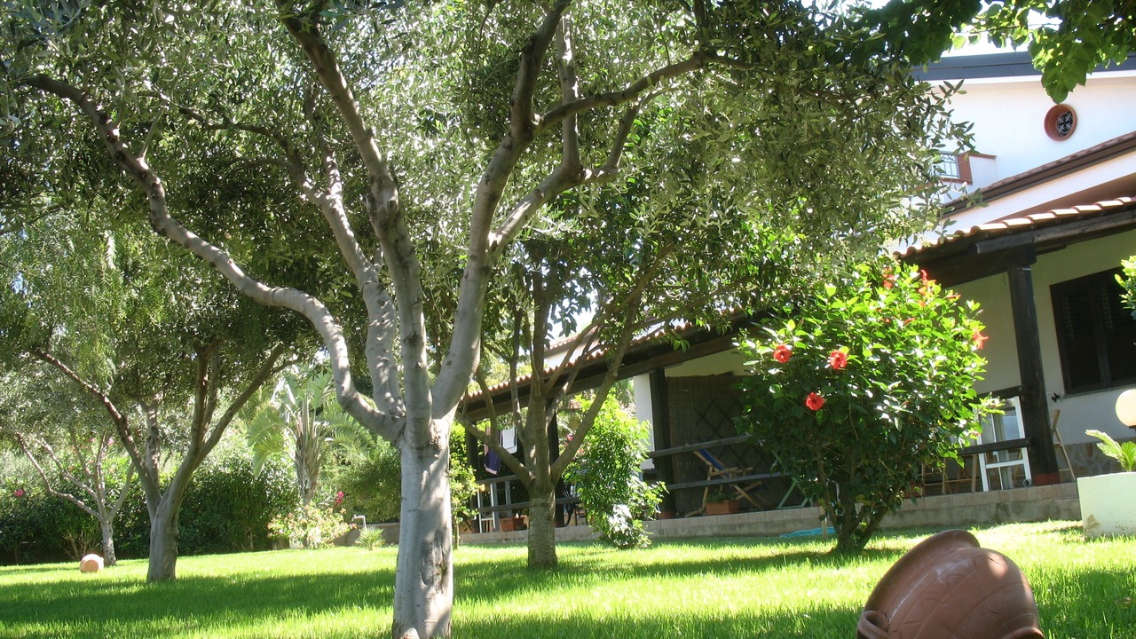 Photo of Outdoor in Ricadi