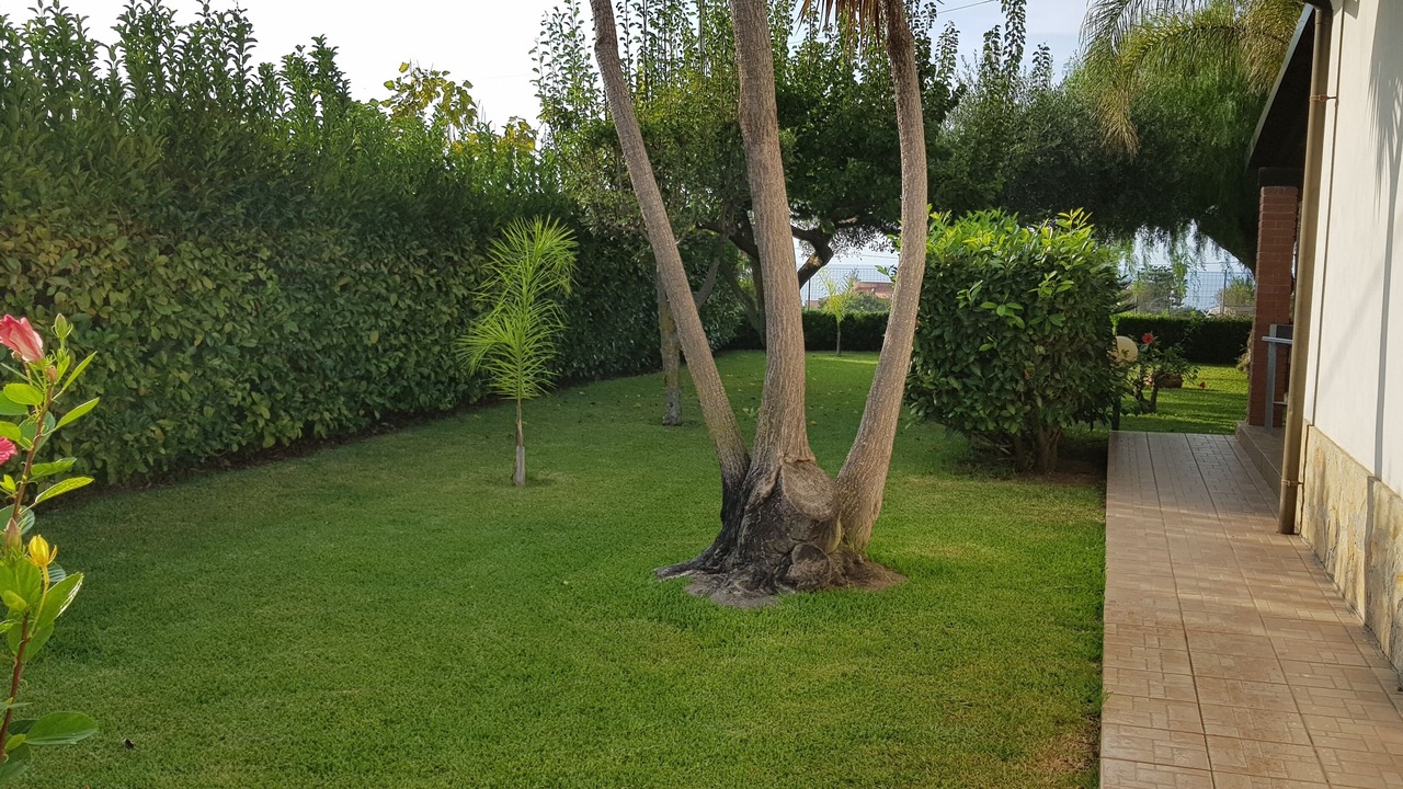 Photo of Outdoor in Ricadi