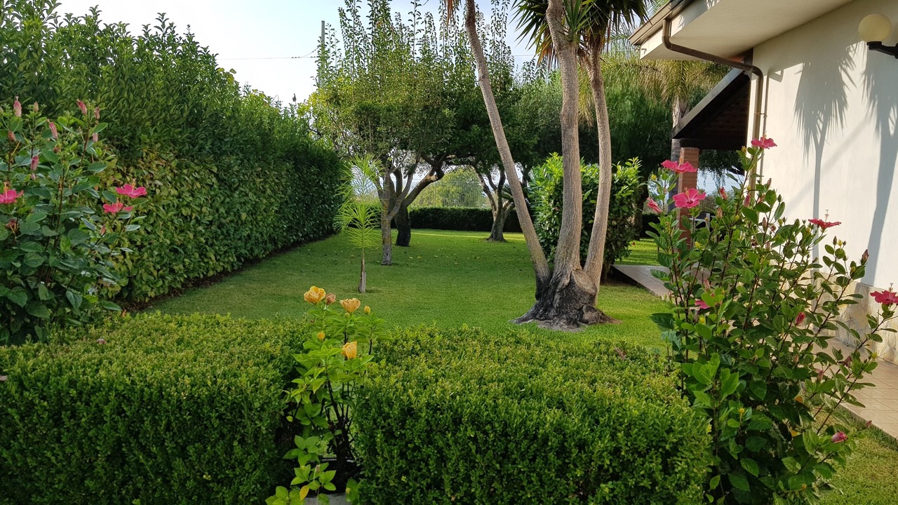 Photo of Outdoor in Ricadi