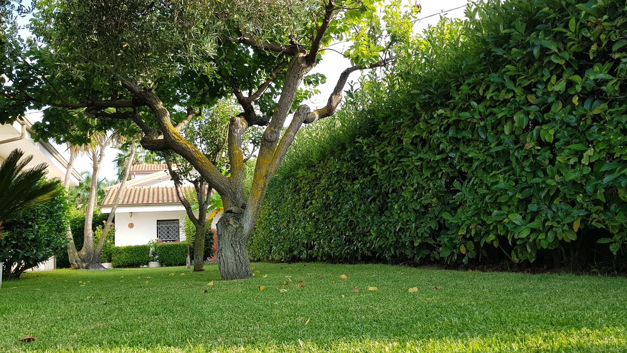 Photo of Outdoor in Ricadi